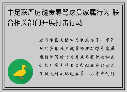 中足联严厉谴责辱骂球员家属行为 联合相关部门开展打击行动